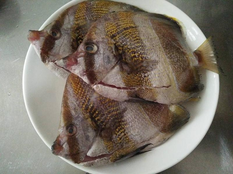 �������㸣���ŵ�����