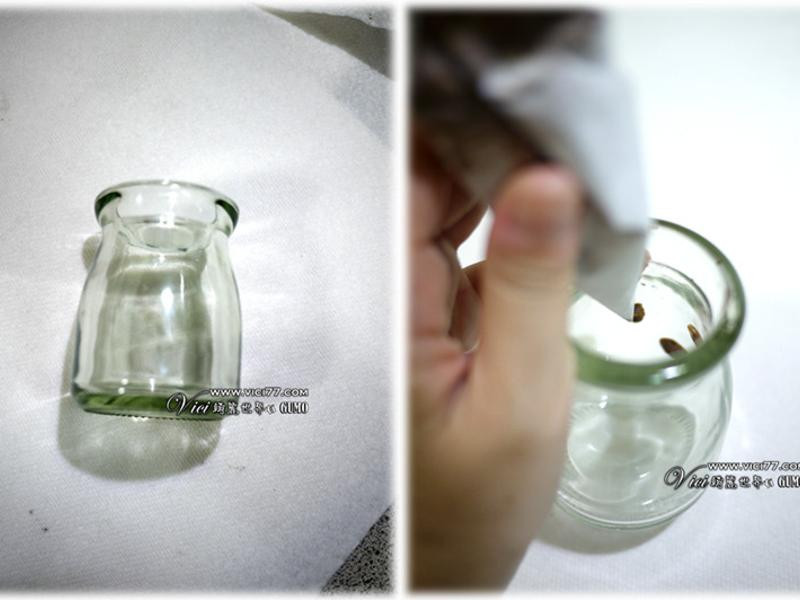 ��ͯ����ʥ������衾VICI������������������