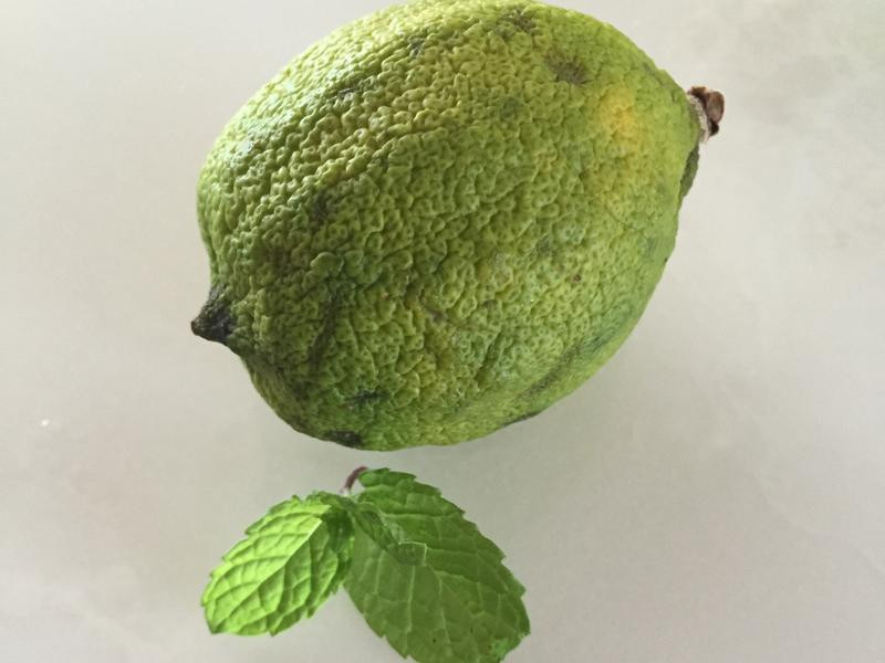 �����������ʥƷ������