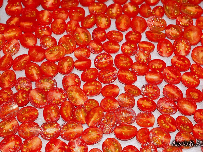 ��ʽ����ެ�ѵ�����