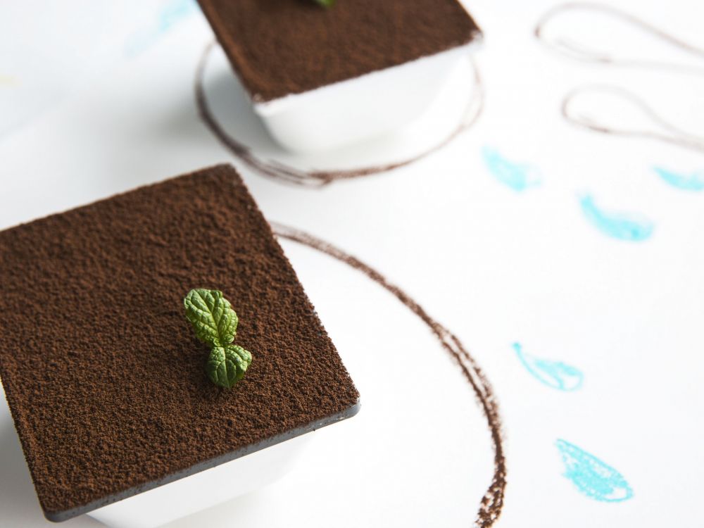 提拉米苏盆栽的做法