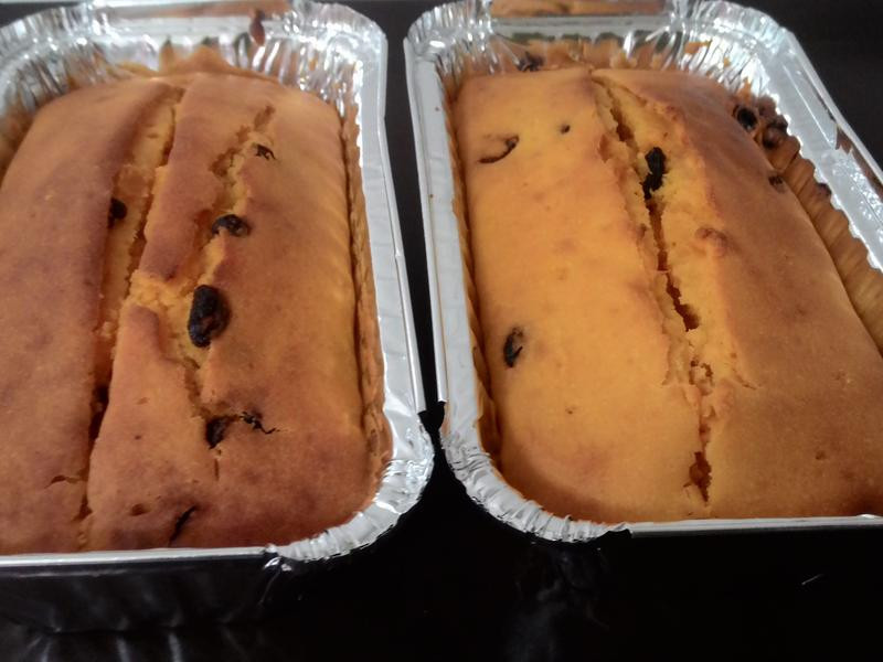 �����Ϲ�ţ�̵��������