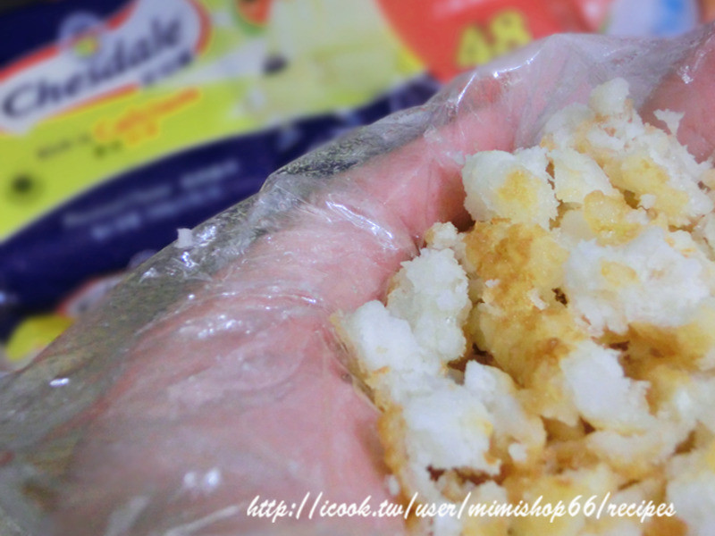 ֥˾��-ʥ����ʿ�����ѵ�����