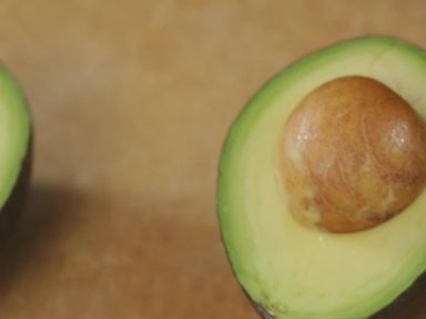 ţ�͹�֥ʿ������˾������