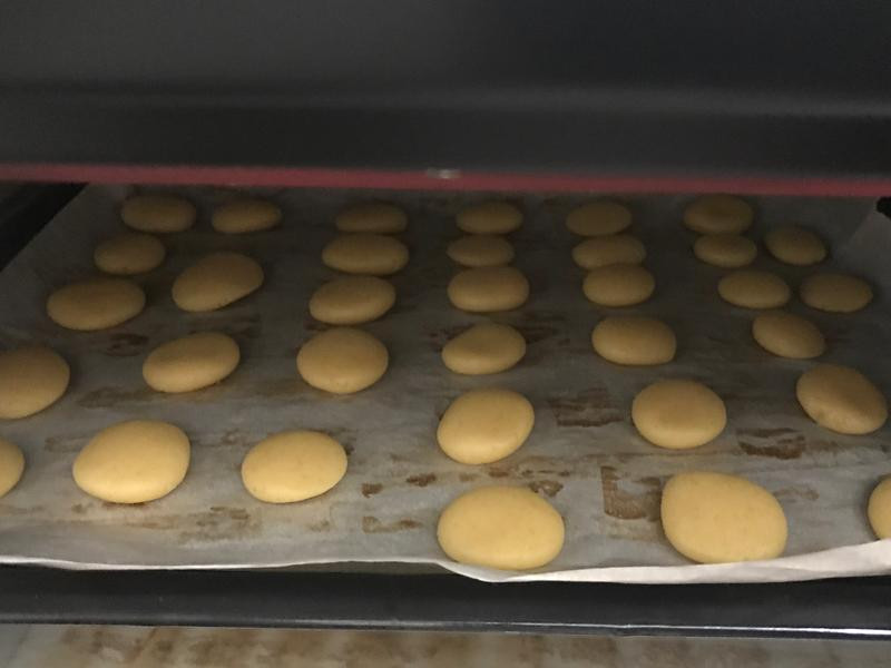 ���Ʊ�������