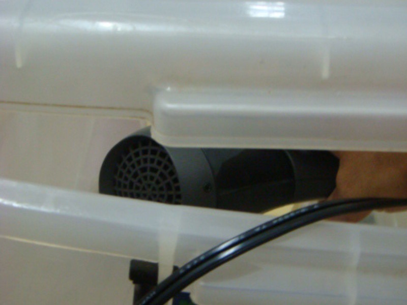 ?���ż�: ������ͷ������