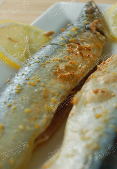 ���㿾�ﵶ�������