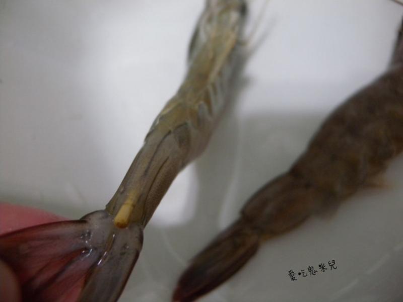 �Οh��Ϻ������