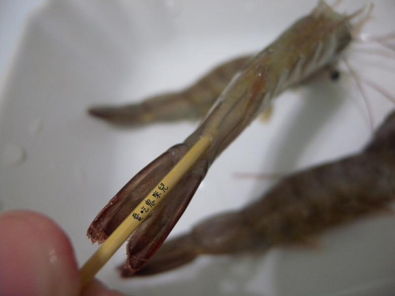 �Οh��Ϻ������