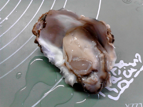 ��������������