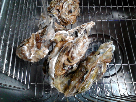 ��������������