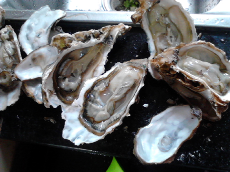 ��������������