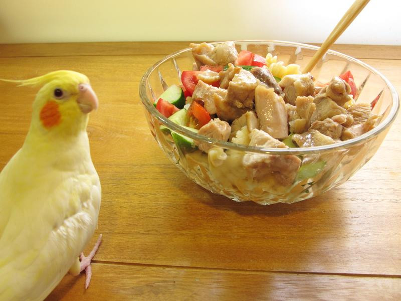 �������߼������������