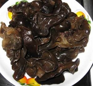 �Ǵ�ľ��������