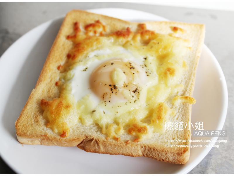 ̫������˾����èС�������