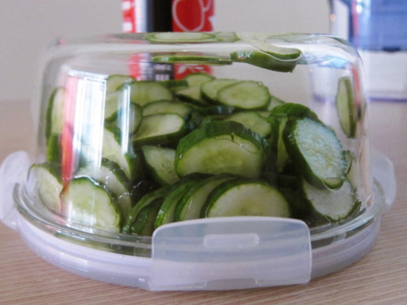 �����̴���С�ƹϵ�����