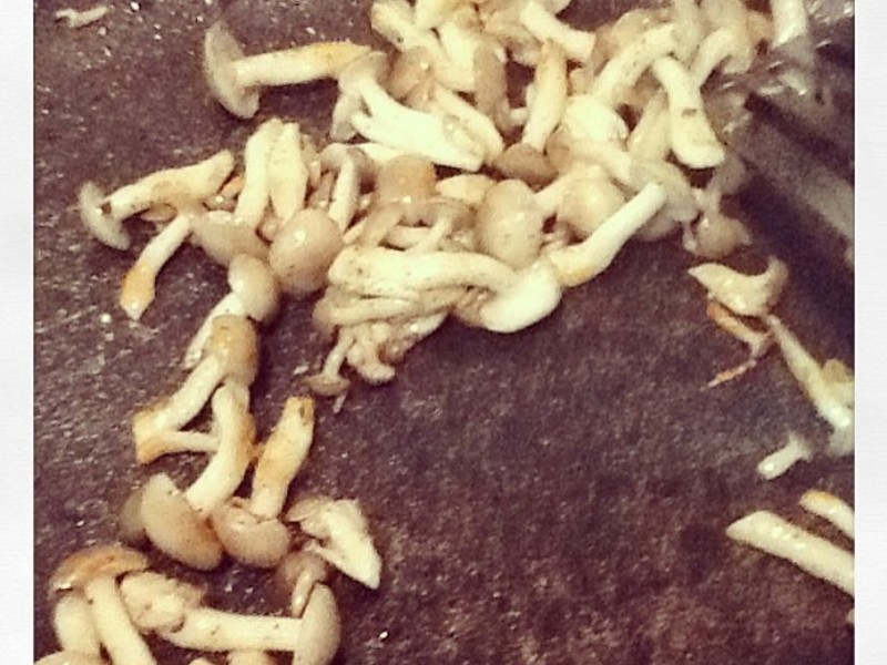 ����澩����˿�������ѷۺ�Ҷ��(��ȫ��)������