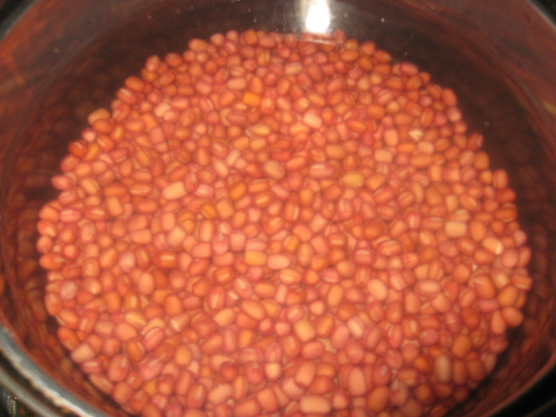 ���춹�ڵ�����