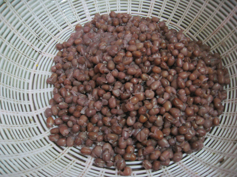 ���춹�ڵ�����