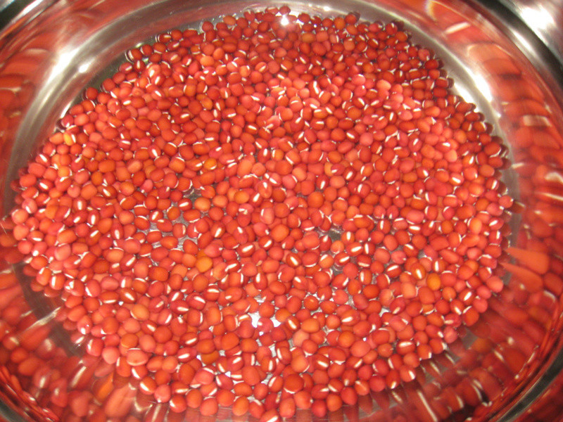 ���춹�ڵ�����