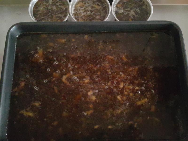 ���ǹ���������