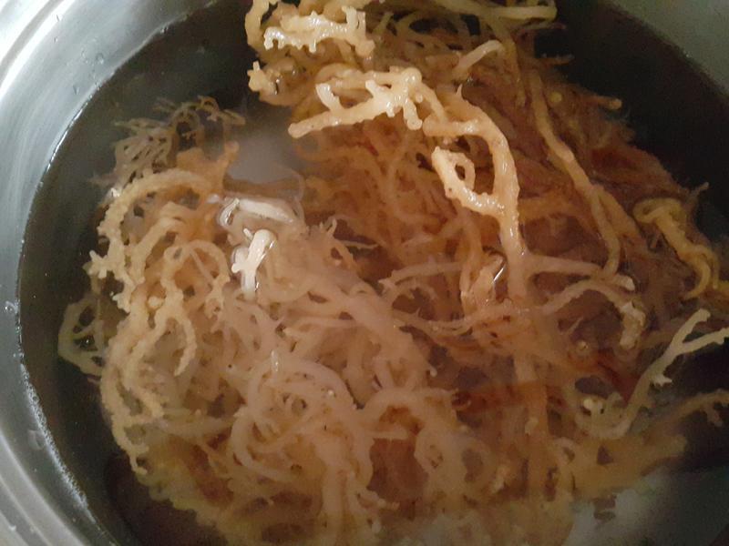 ���ǹ���������