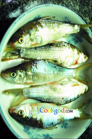 �۸�������������