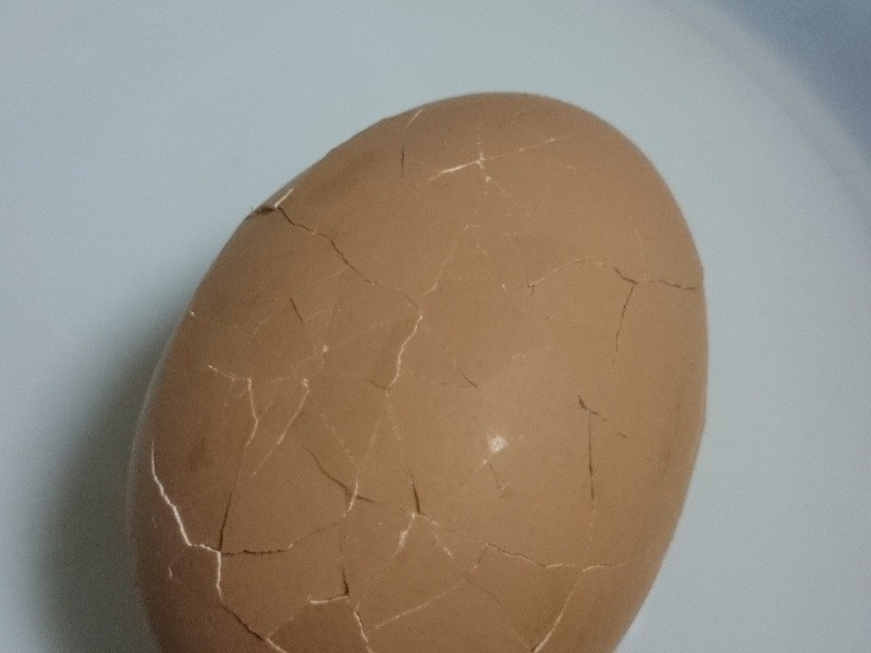 �л�÷���Ҷ��������