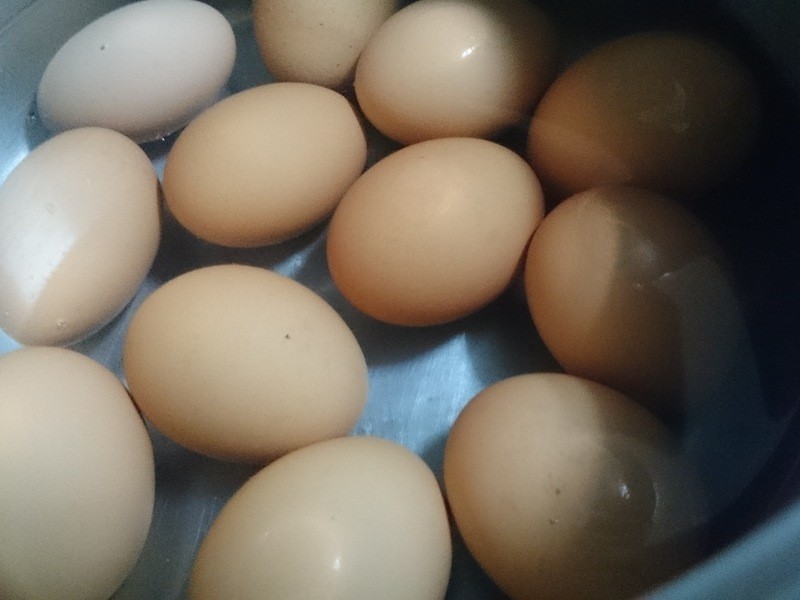 �л�÷���Ҷ��������