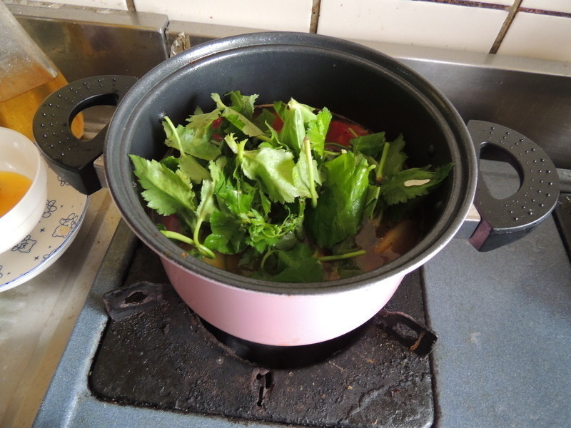 ���װ�������������