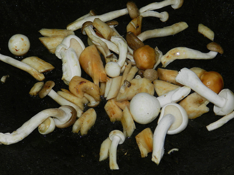 ��������ǵ�����