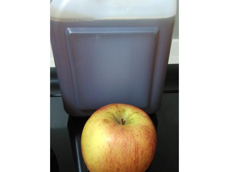 ����������-LSY�����������ŵ�����