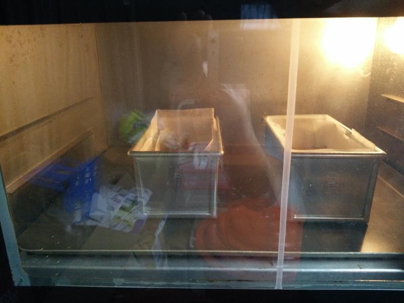 �ɿ����㽶���͵��������