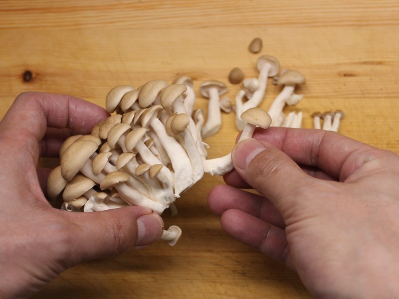 ������˹��Ũ������ѵ�����