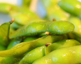 ����ë��������