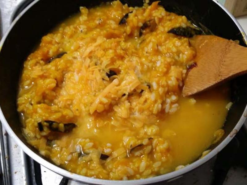 ��Ũ���ɱ��Ϲ�����������