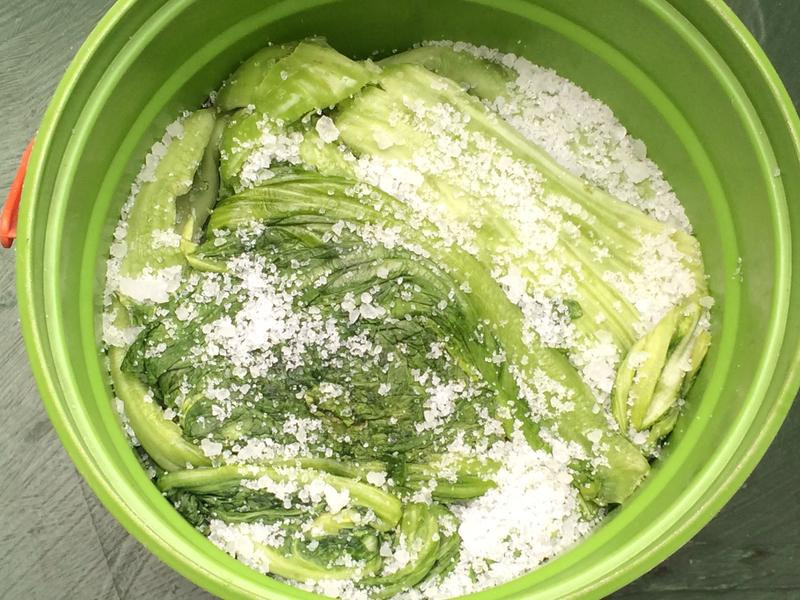 ���Z���Ӳ˸ɵ�����