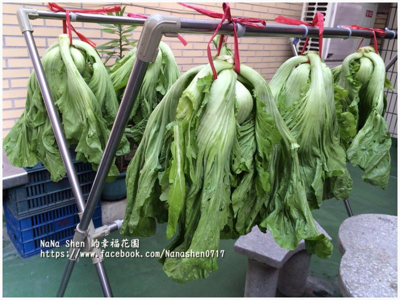 ���Z���Ӳ˸ɵ�����