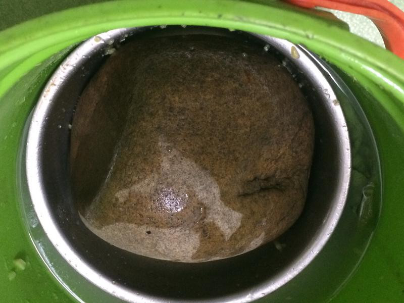 ���Z���Ӳ˸ɵ�����