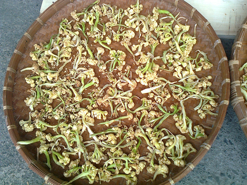 ��Ҭ�˸���������