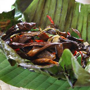 ��Ҷ���Ӿ�������