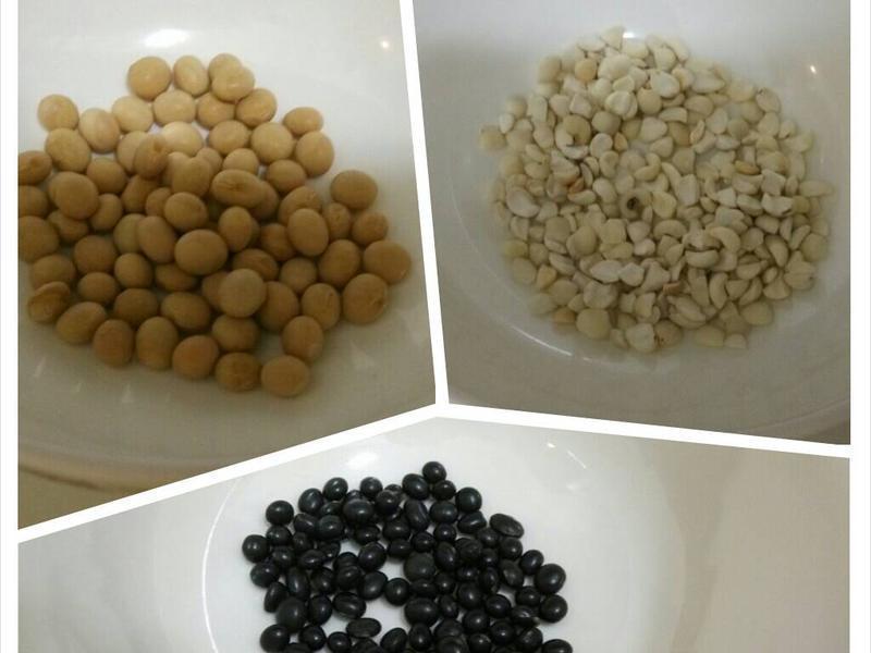 �������׷���Ʒ-LSY�����������ŵ�����