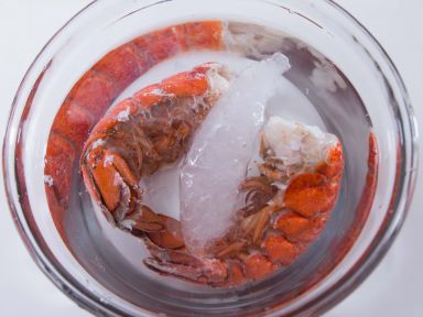 ������Ϻ�����ε�����