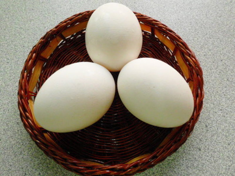 ��������~������������