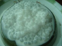 薏仁椰汁西米露的做法