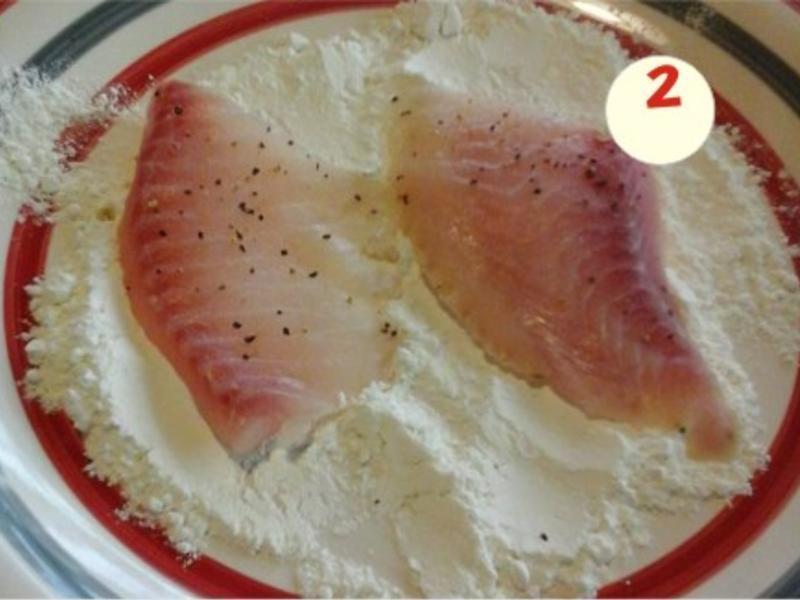 ����������֭«������������