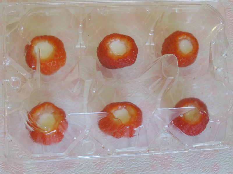 ��ݮ�����������