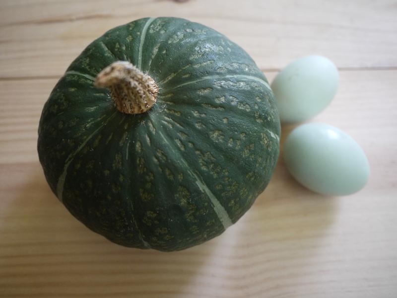 ��ɳ�Ϲ�(�⳴�����)������