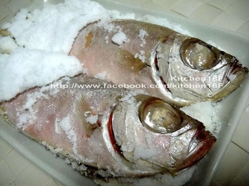 �ο���Ŀ��_��������������