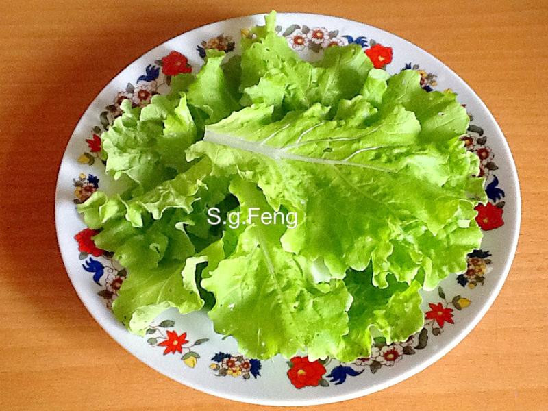 �ѽ��ƽ���Ƭ������